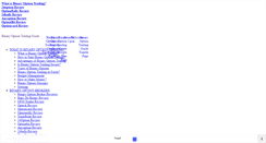 Desktop Screenshot of binaryoptiontradingguide.com