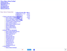 Tablet Screenshot of binaryoptiontradingguide.com